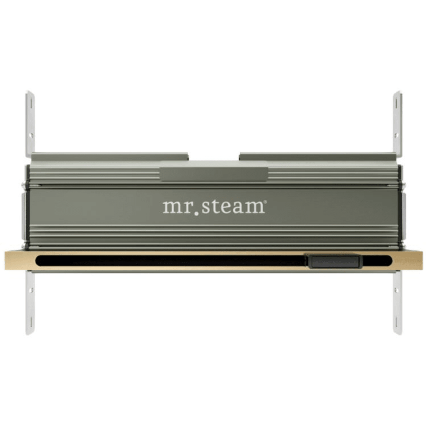 Linear SteamHead Brush Bronze,Brush Nickel,Matte Black,Oil Rub Bronze,Polish Brass,Polish Chrome,Polish Nickel,Satin Brass Mr Steam SatinBrass.png