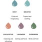Mr. Steam AromaSteam System Package Pump and Oil Eucalyptus,Lavender,Evergreen,Energizing Mint,Breathe Mr Steam Screenshot2023-04-16at9.59.57AM.png