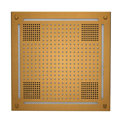 HydroVive 18 Rainhead