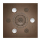Serenity Advanced Rainhead