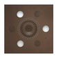 Serenity Advanced Rainhead