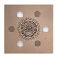 Serenity Advanced Rainhead