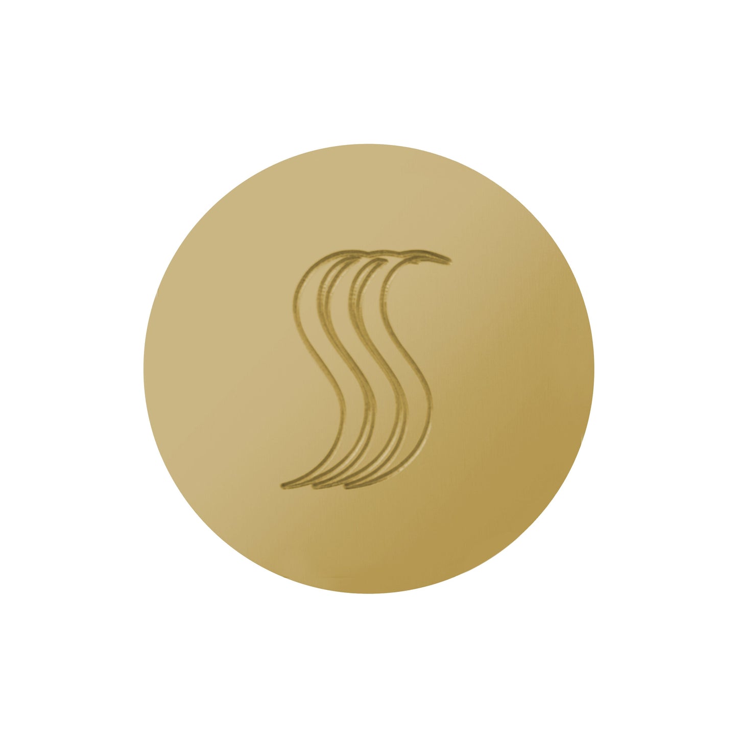 SteamVection Steam Head - Round - Polished Brass