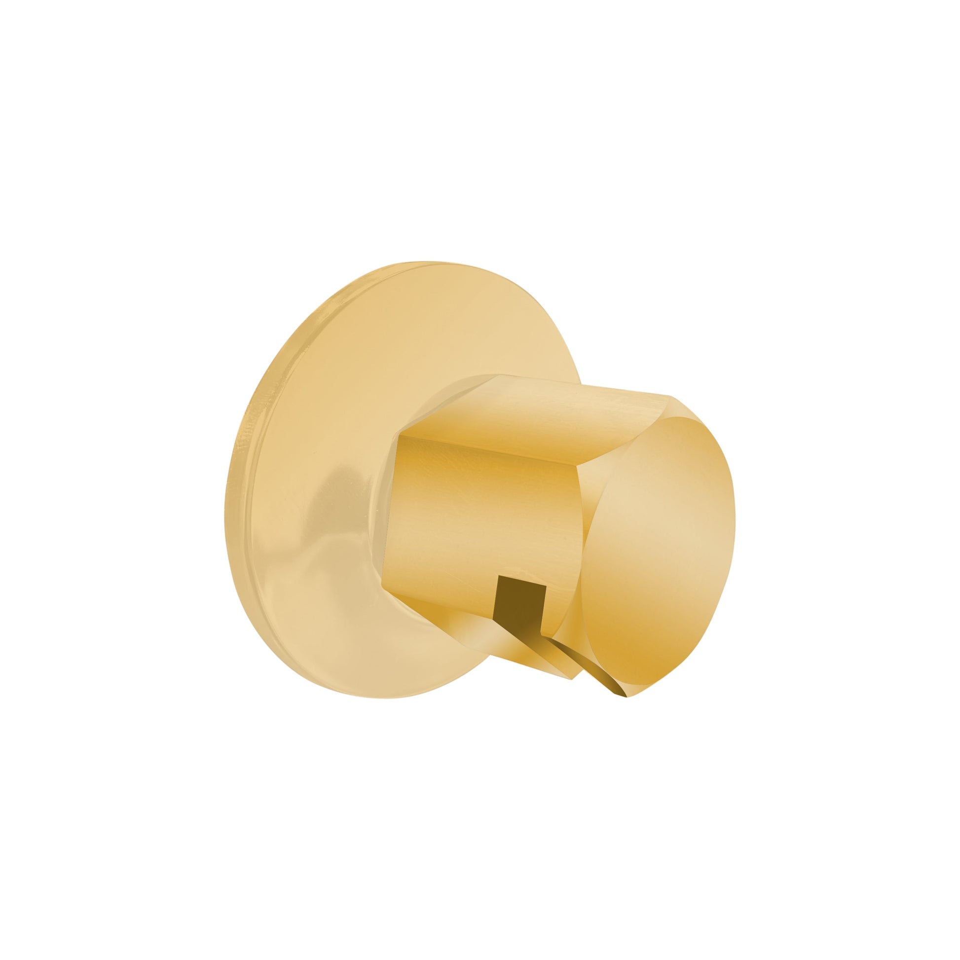 Legacy Steam Head - 3/4in Rough - Polished Gold