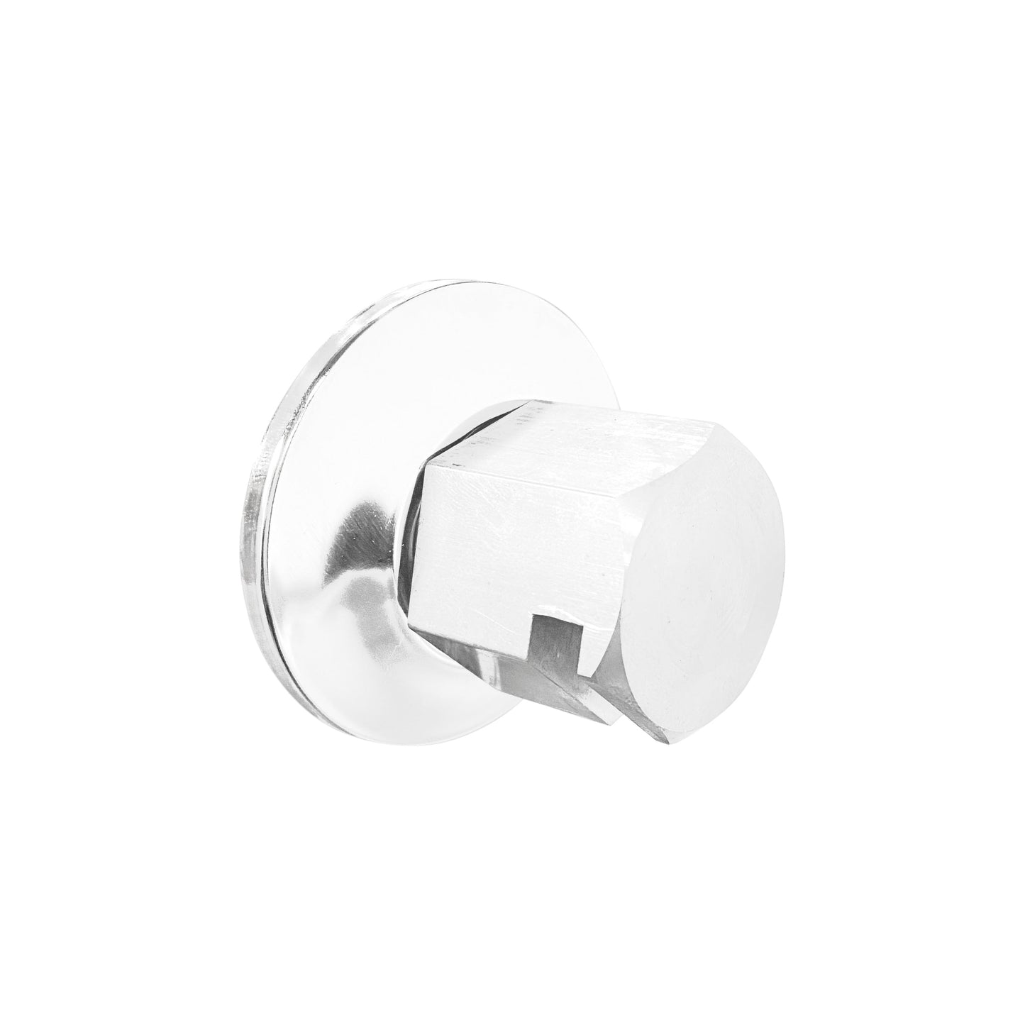Legacy Steam Head - 3/4in Rough - White